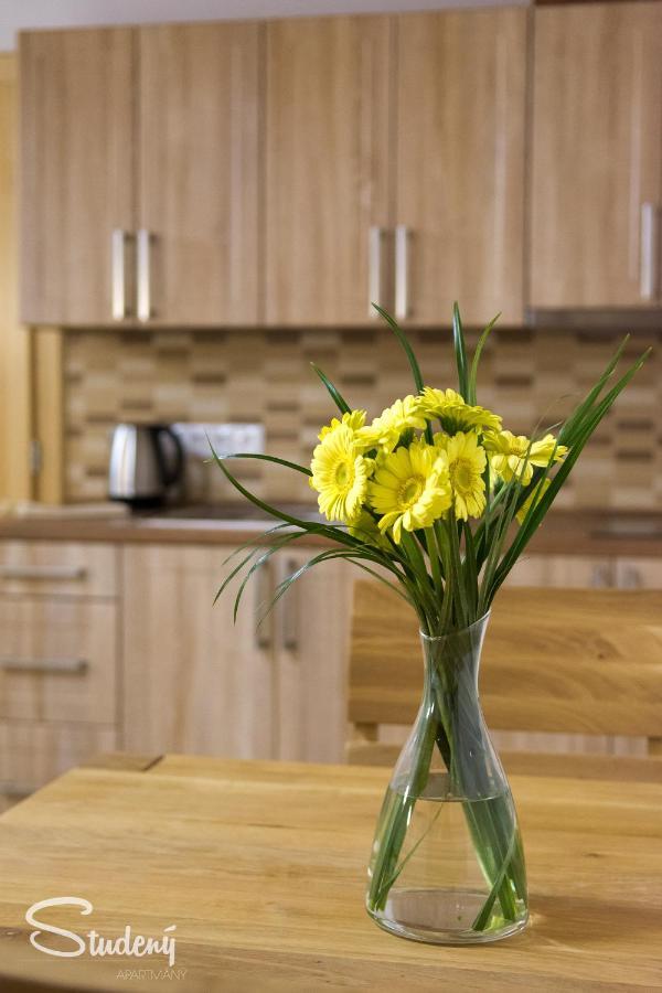 Apartmany Studeny Kunratice  ภายนอก รูปภาพ